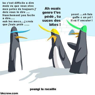 poungi la racaille